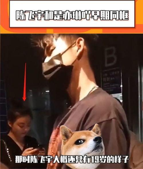 陈飞宇女网红爆料视频,揭秘娱乐圈不为人知的秘密  第2张